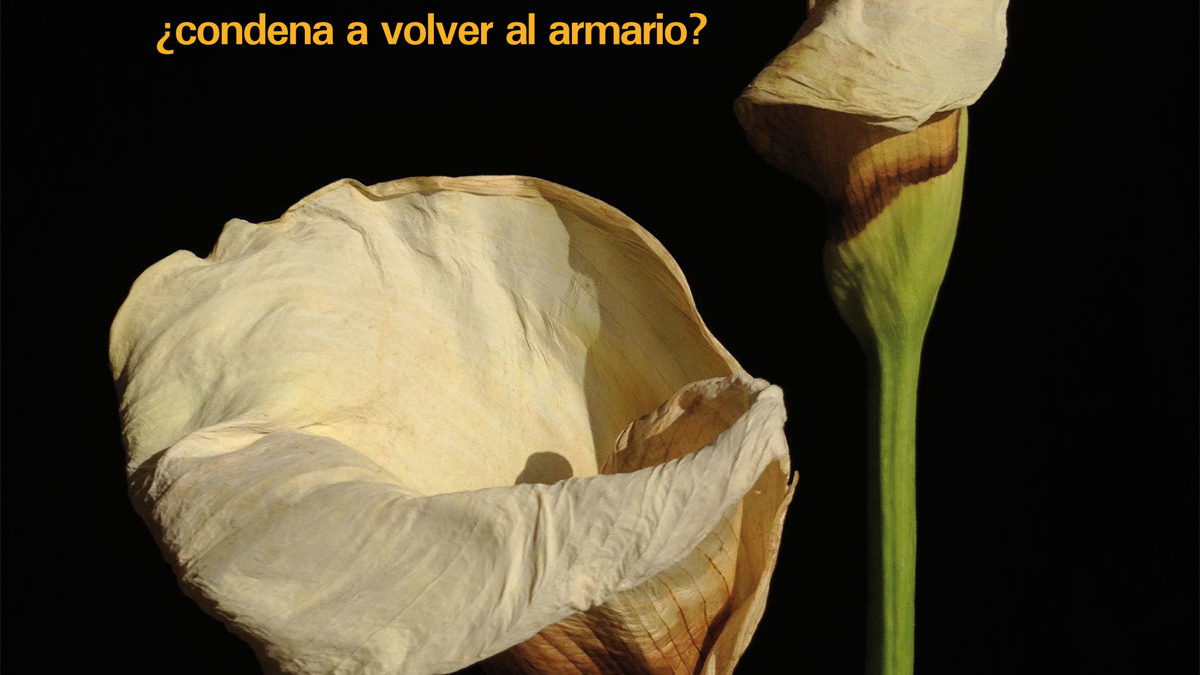 Extra Nº91-92 Junio 2015